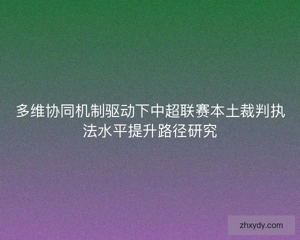 多维协同机制驱动下中超联赛本土裁判执法水平提升路径研究